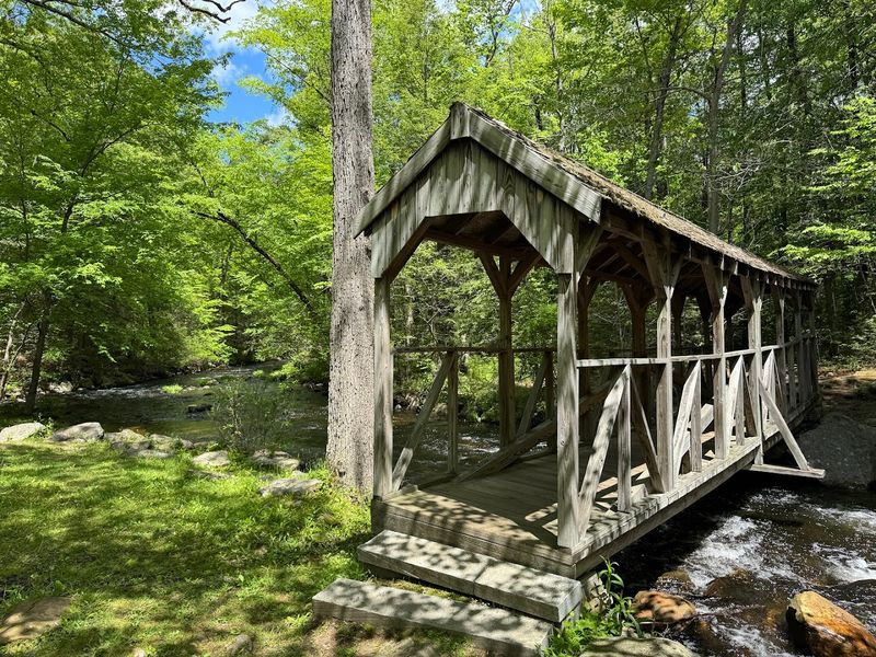 Willard Brook State Forest