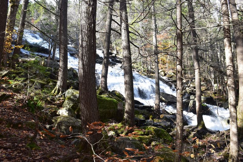 Glendale Falls