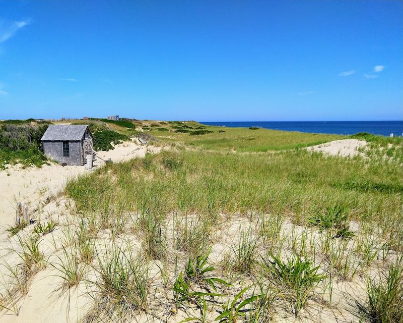 Race Point Dunes Trail – Provincetown
