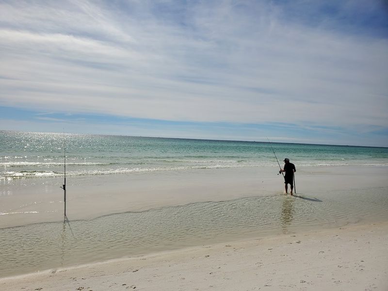 Fishing Opportunities