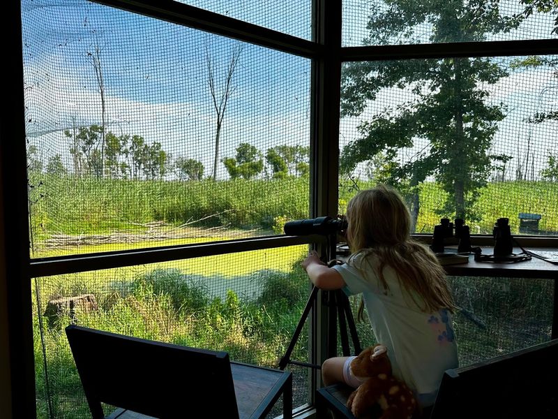 Nature Center Exploration