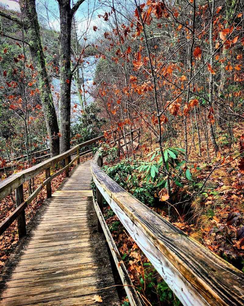 Graveyard Fields Loop Trail