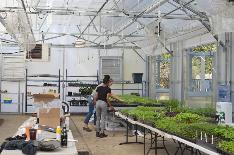 Garden Dreams Urban Farm and Nursery (Wilkinsburg)