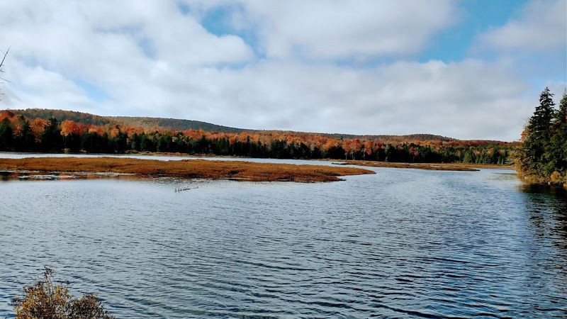 Savoy Mountain State Forest