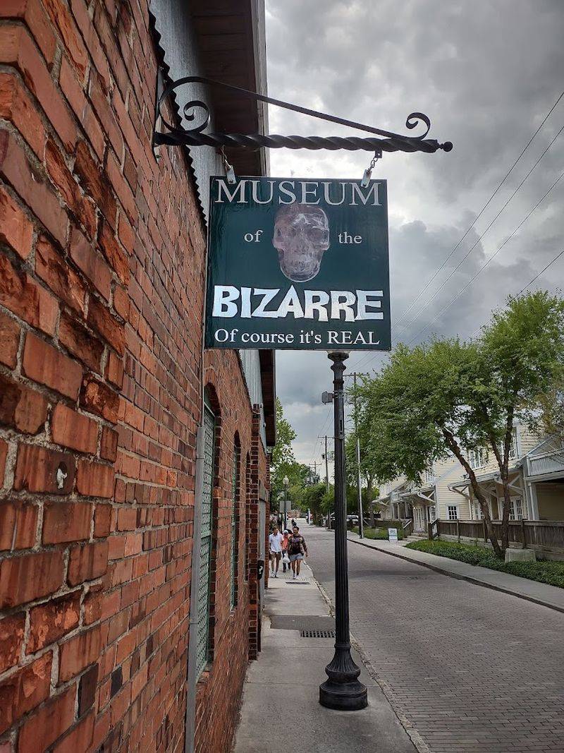 Museum of the Bizarre (Wilmington)