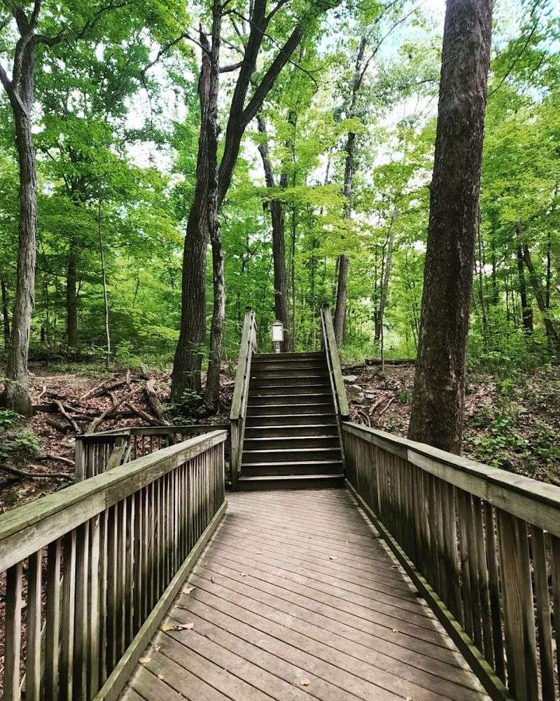 Walking Trails Through Forests and Meadows