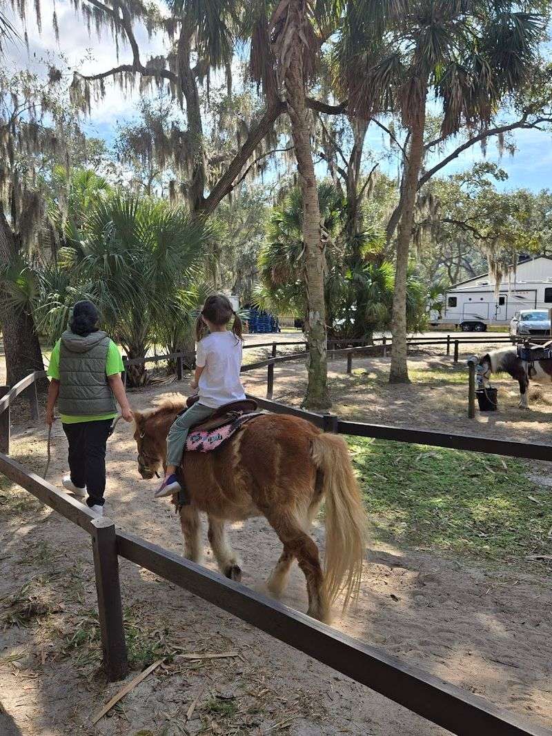 HorsePower for Kids & Animal Sanctuary