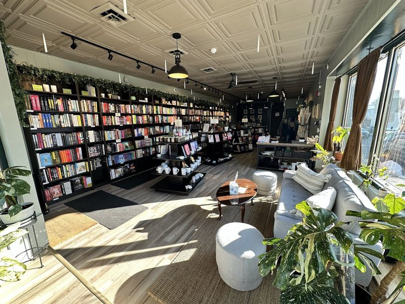 Serendipity Bookshop &mdash; Taunton