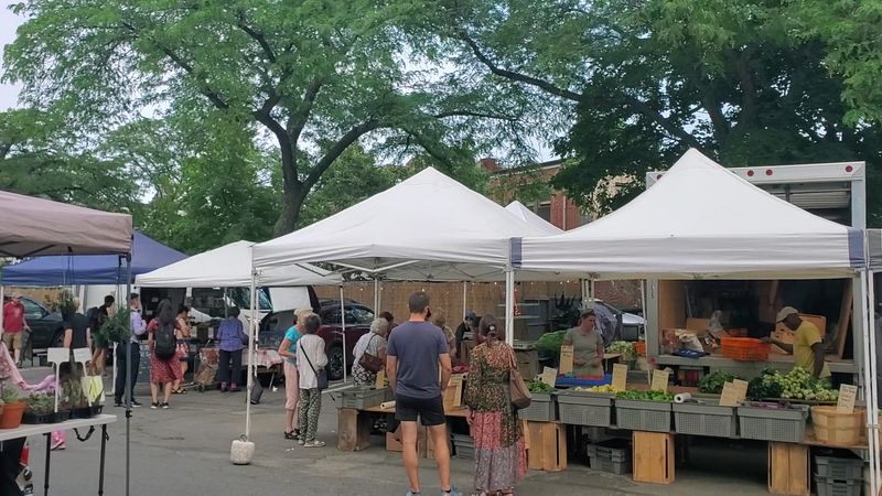 Brookline Farmers Market &ndash; Brookline