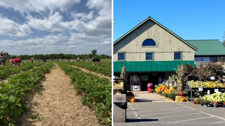 Beneath Pennsylvania&rsquo;s Skylines Lies a Farming Legacy That Still Feeds America