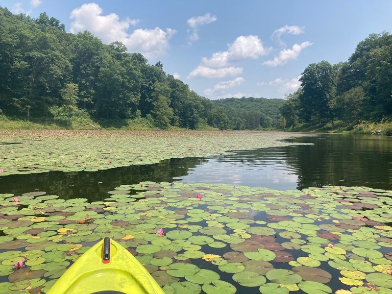 Lake Hope State Park (Zaleski State Forest)