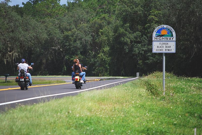 Florida Black Bear Scenic Byway