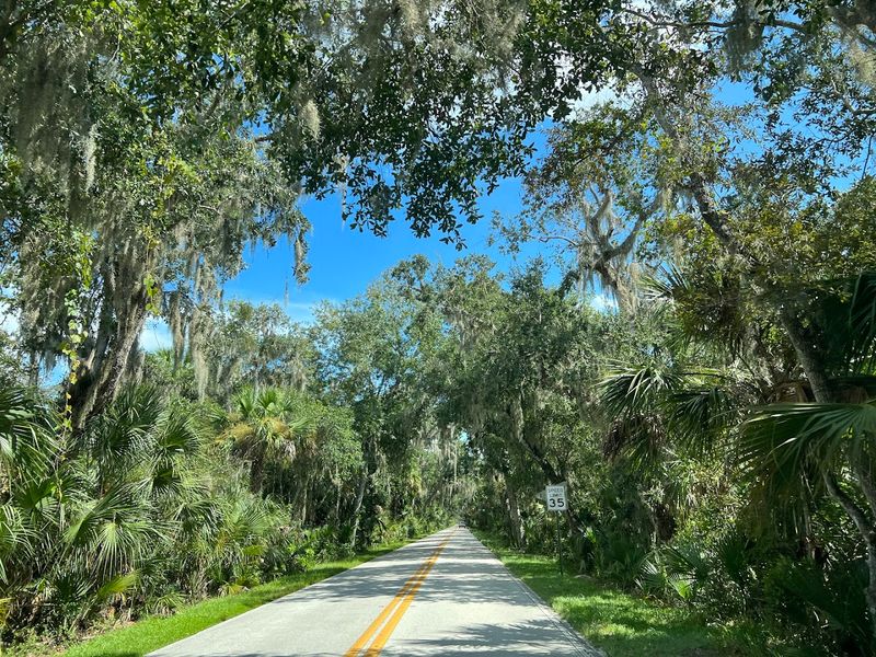Ormond Scenic Loop & Trail