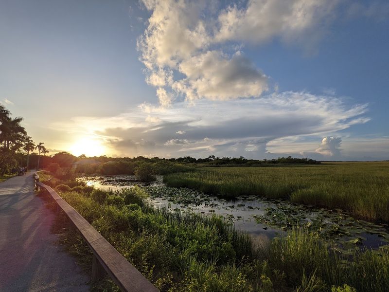 Anhinga Trail — Everglades National Park