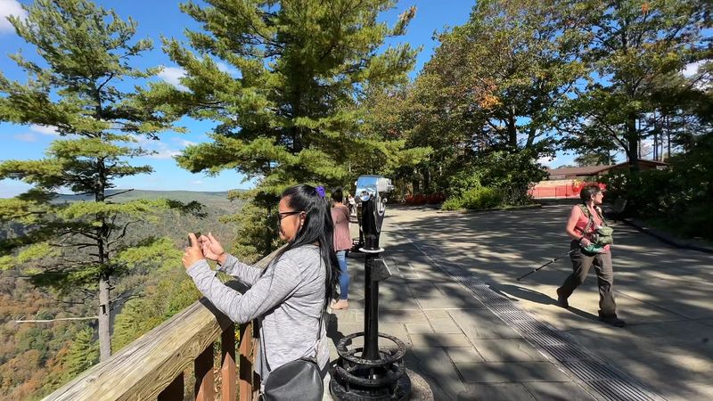 Visit the Overlooks at Leonard Harrison State Park