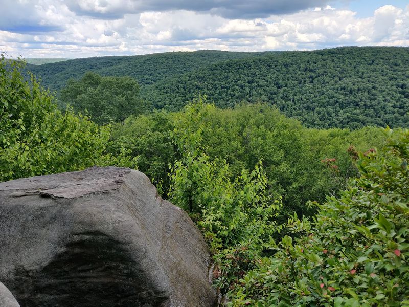 Hiking The Minister Creek Trail