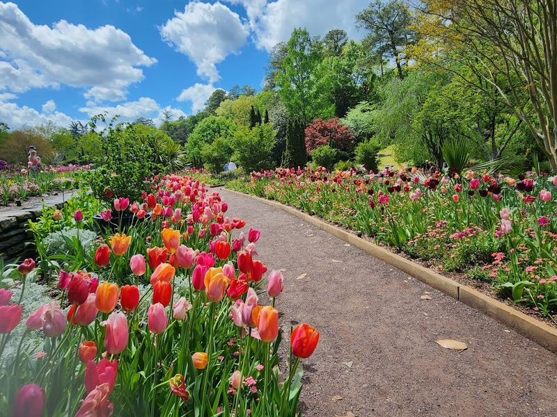 Sarah P. Duke Gardens (Durham)