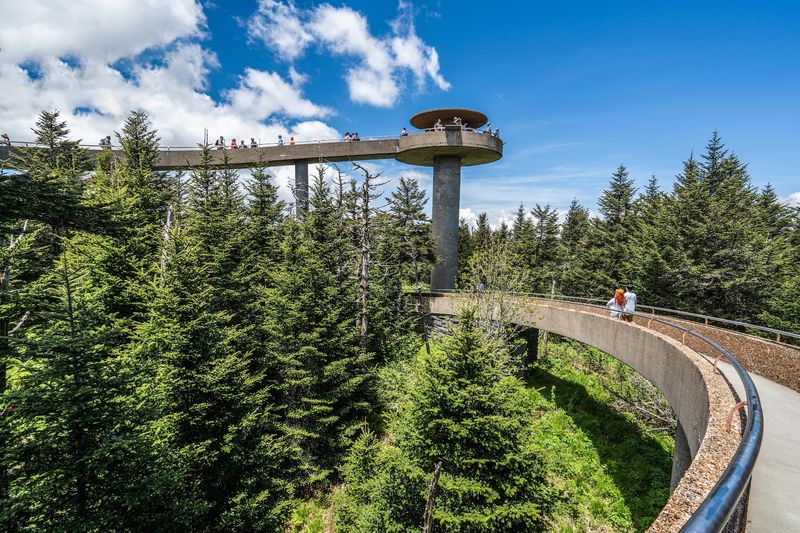 Great Smoky Mountains National Park, Swain County