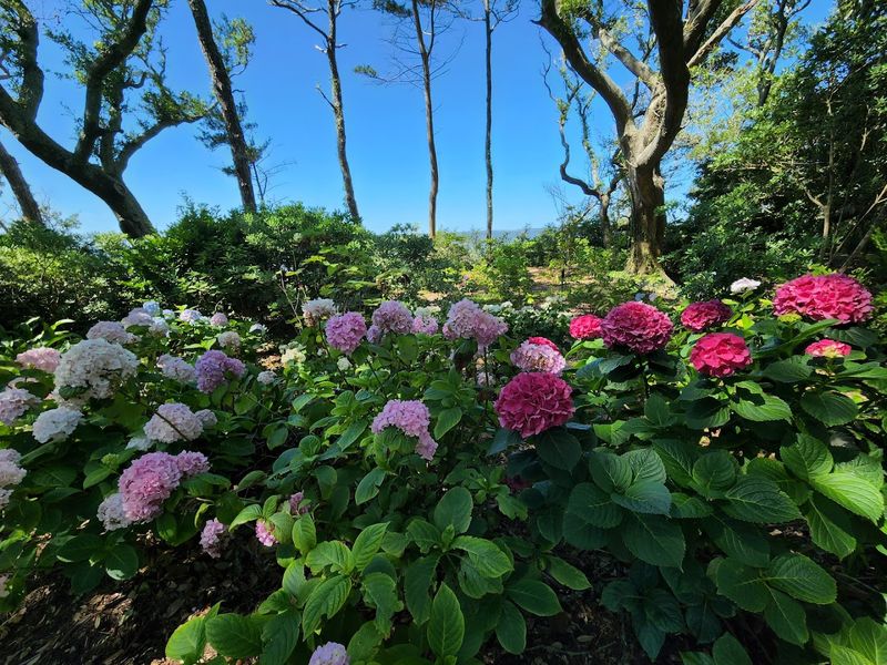 The Elizabethan Gardens &ndash; Manteo