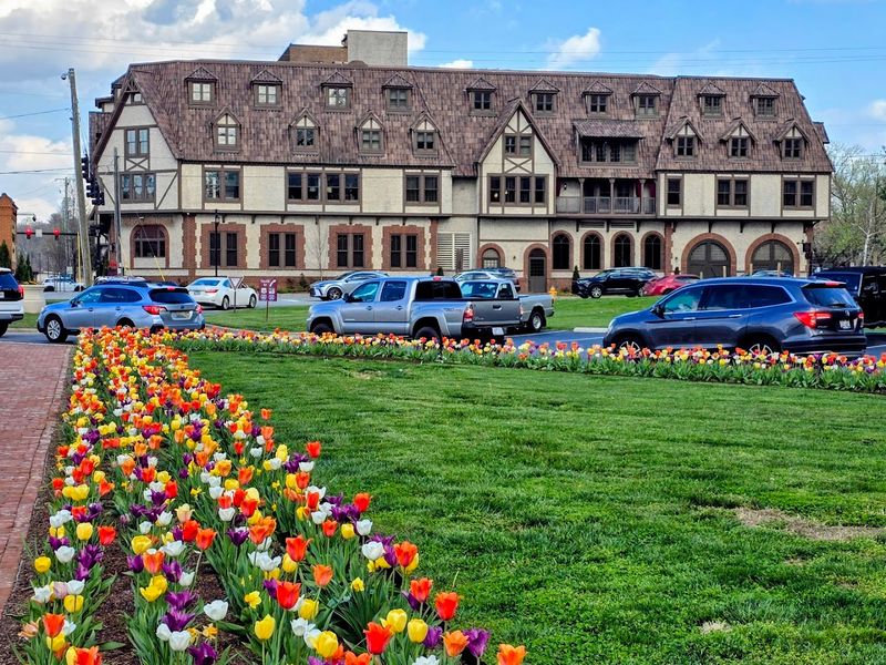 Biltmore Village Streetscape