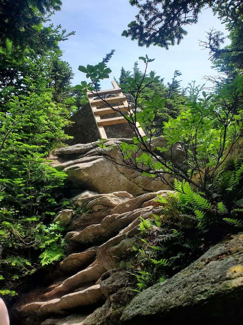 Profile Trail to Calloway Peak — Grandfather Mountain State Park