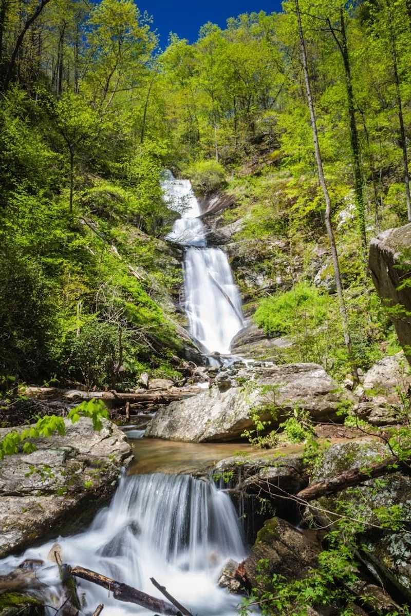 Tom's Creek Falls (Marion)