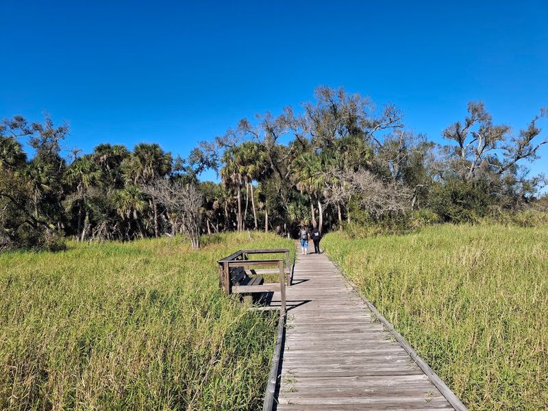 Myakka River State Park Trails