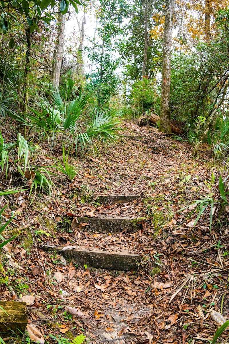 Torreya State Park Trails (Bristol)