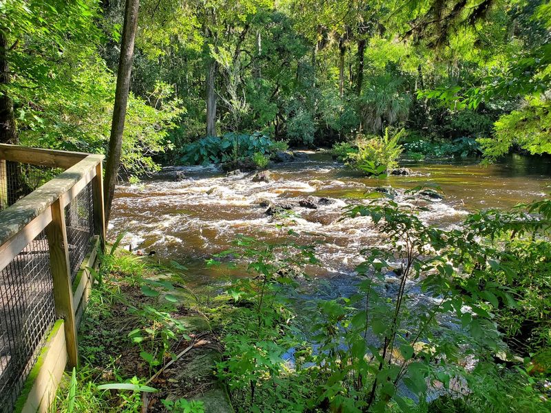 Hillsborough River State Park Rapids Trail 
