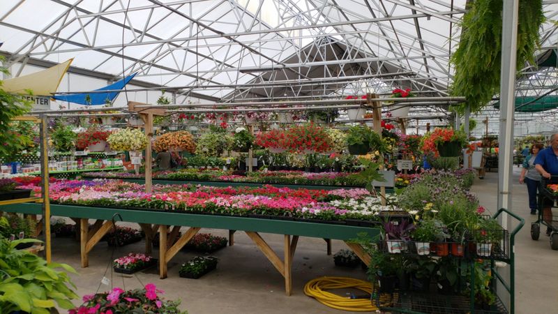 Bedner's Farm & Greenhouse (McDonald)