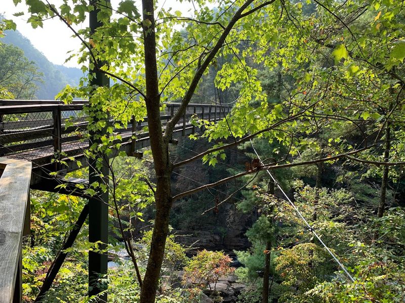Tallulah Gorge North and South Rim Trails 