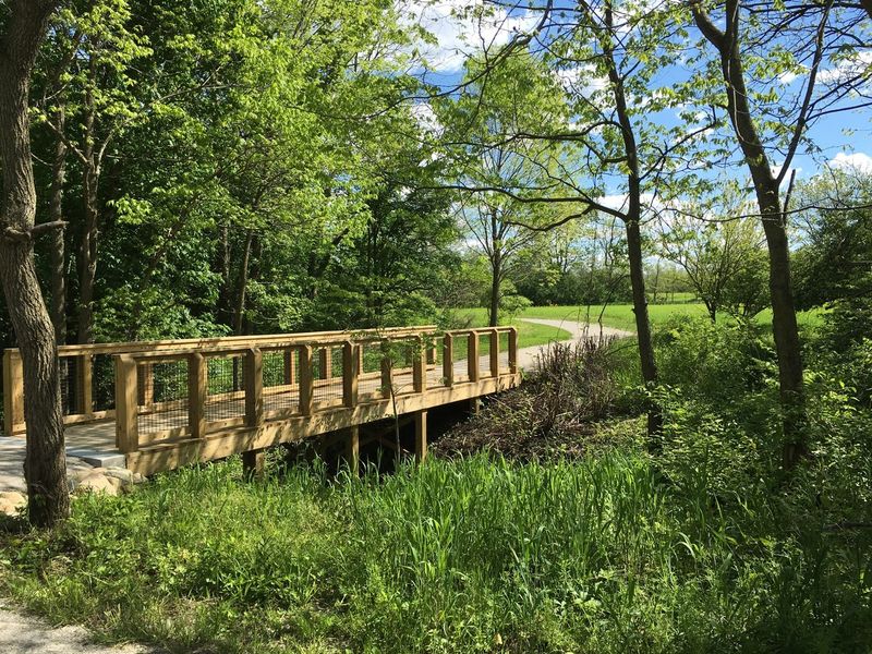 Scioto Grove Metro Park Forest