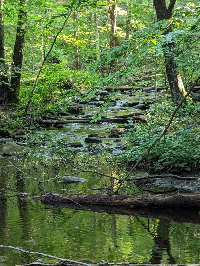 Purgatory Chasm State Reservation