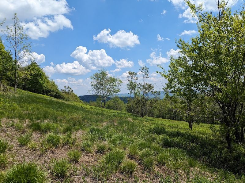 Mount Greylock State Reservation (Adams)