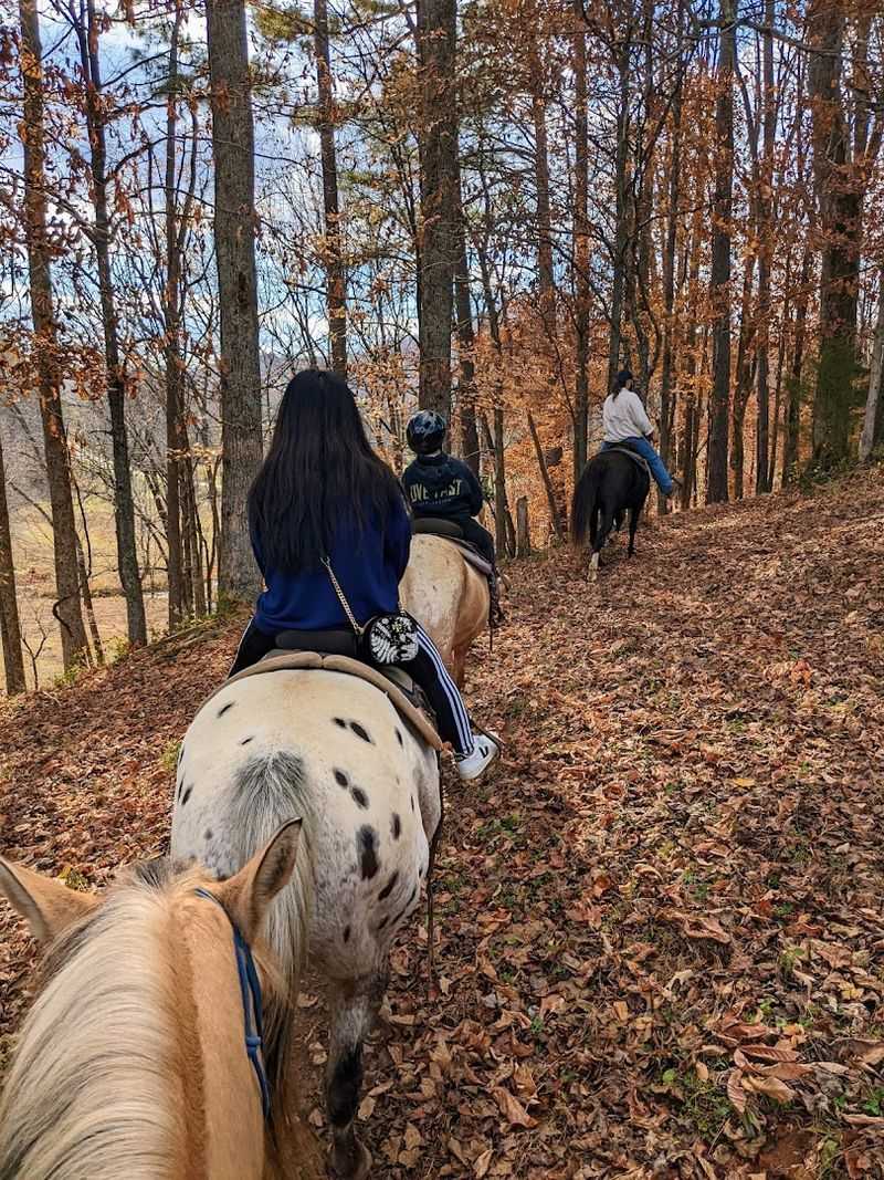 Cowgirl Up Stables, LLC