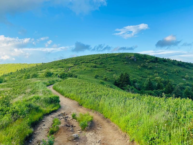 Black Balsam Knob