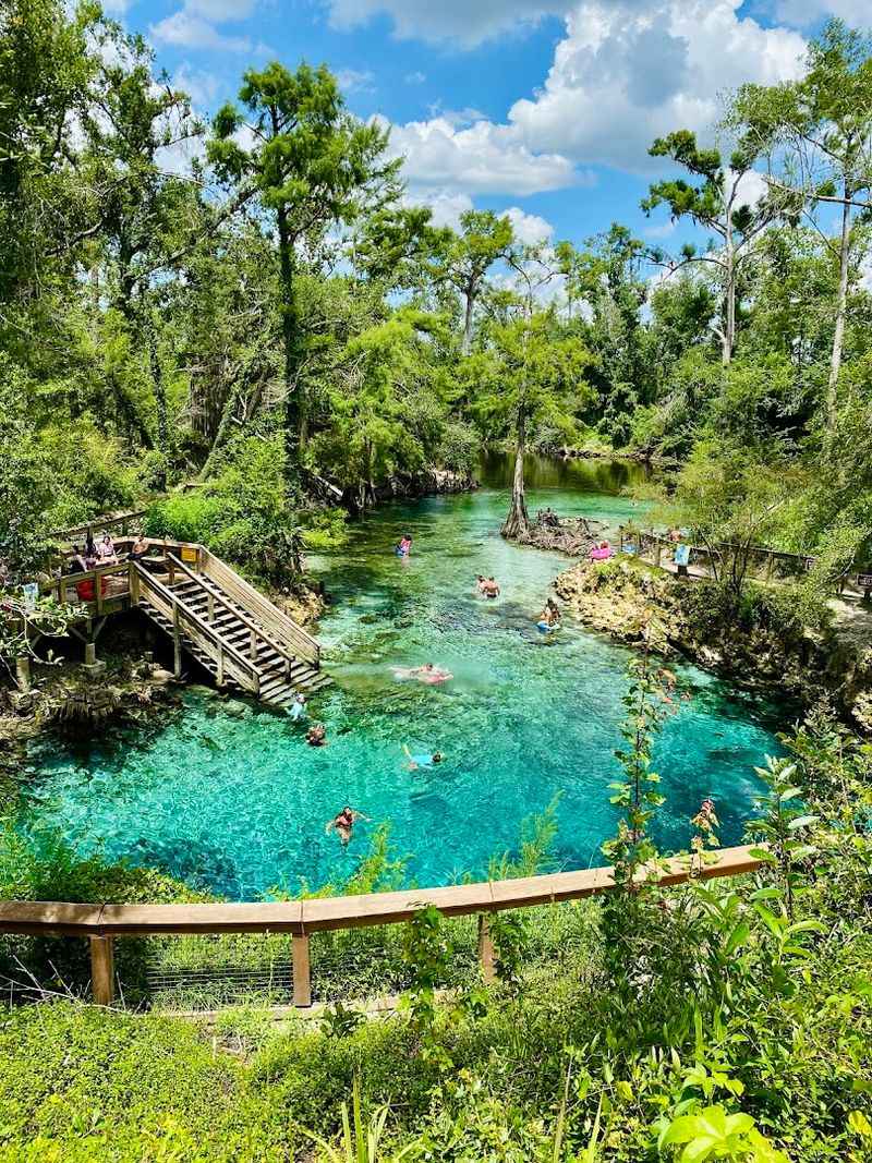 Madison Blue Spring State Park, Madison County