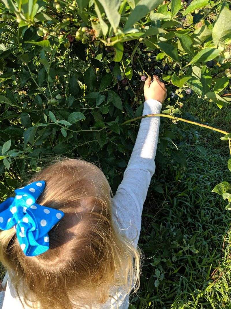 A Kid-Friendly Outdoor Learning Experience