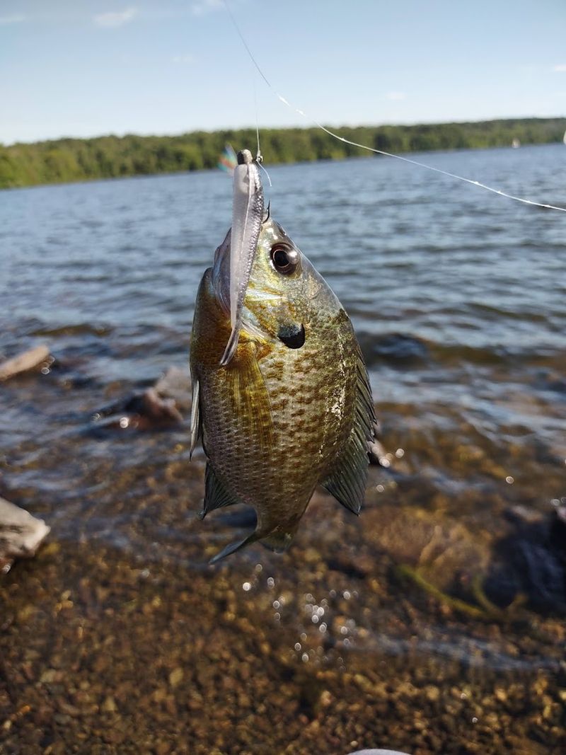 The Park Is a Favorite Spot for Fishing