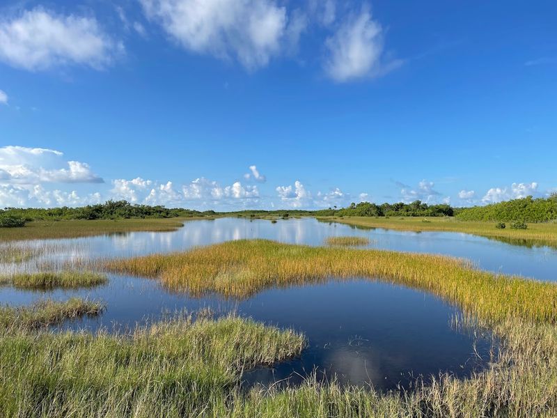 Big Cypress National Preserve — South Florida