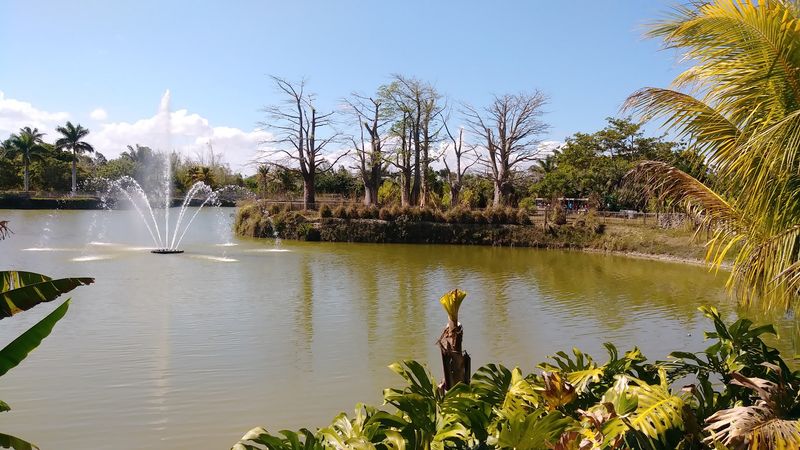 Fruit and Spice Park