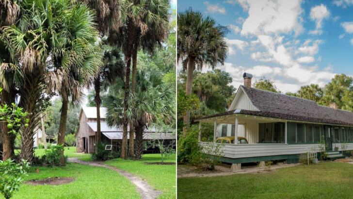 Book Lovers And Nature Fans Both Adore This Peaceful Florida Hidden Gem