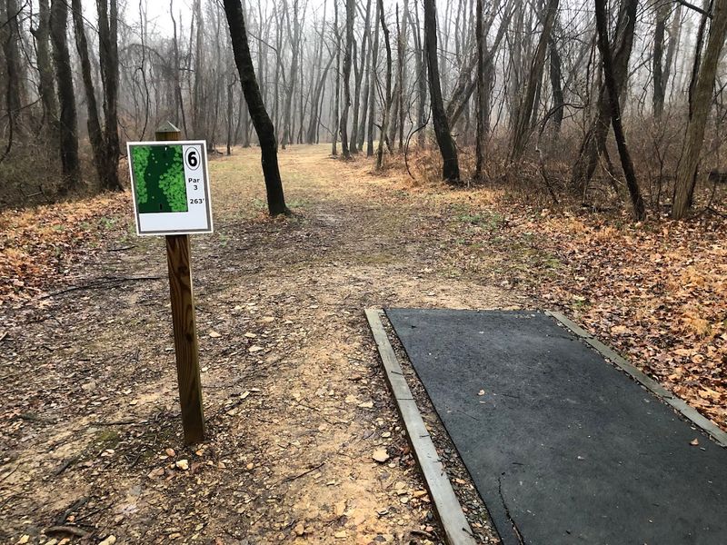 Disc Golf Through Scenic Woods