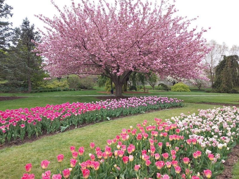 Hershey Gardens - Hershey, Pennsylvania
