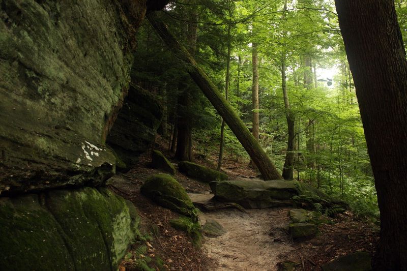Ledges Trail