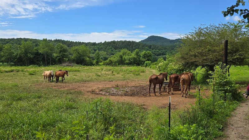 Chattahoochee Stables, Sautee Nacoochee