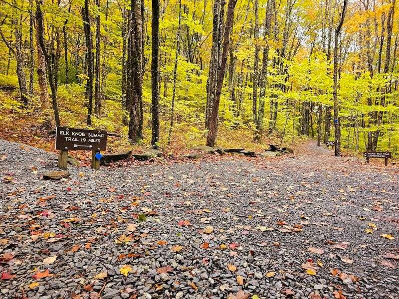 Nature's Seasonal Spectacle