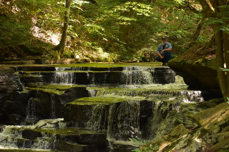 Marienville, Forest County