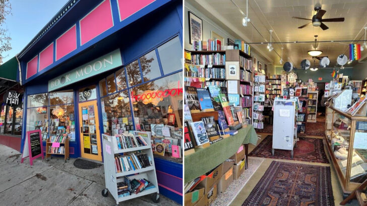 Browsing Feels Different Every Time at This Charming Massachusetts Independent Bookstore
