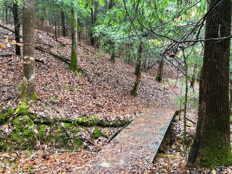 Hemlock Trail at Clear Creek Metro Park